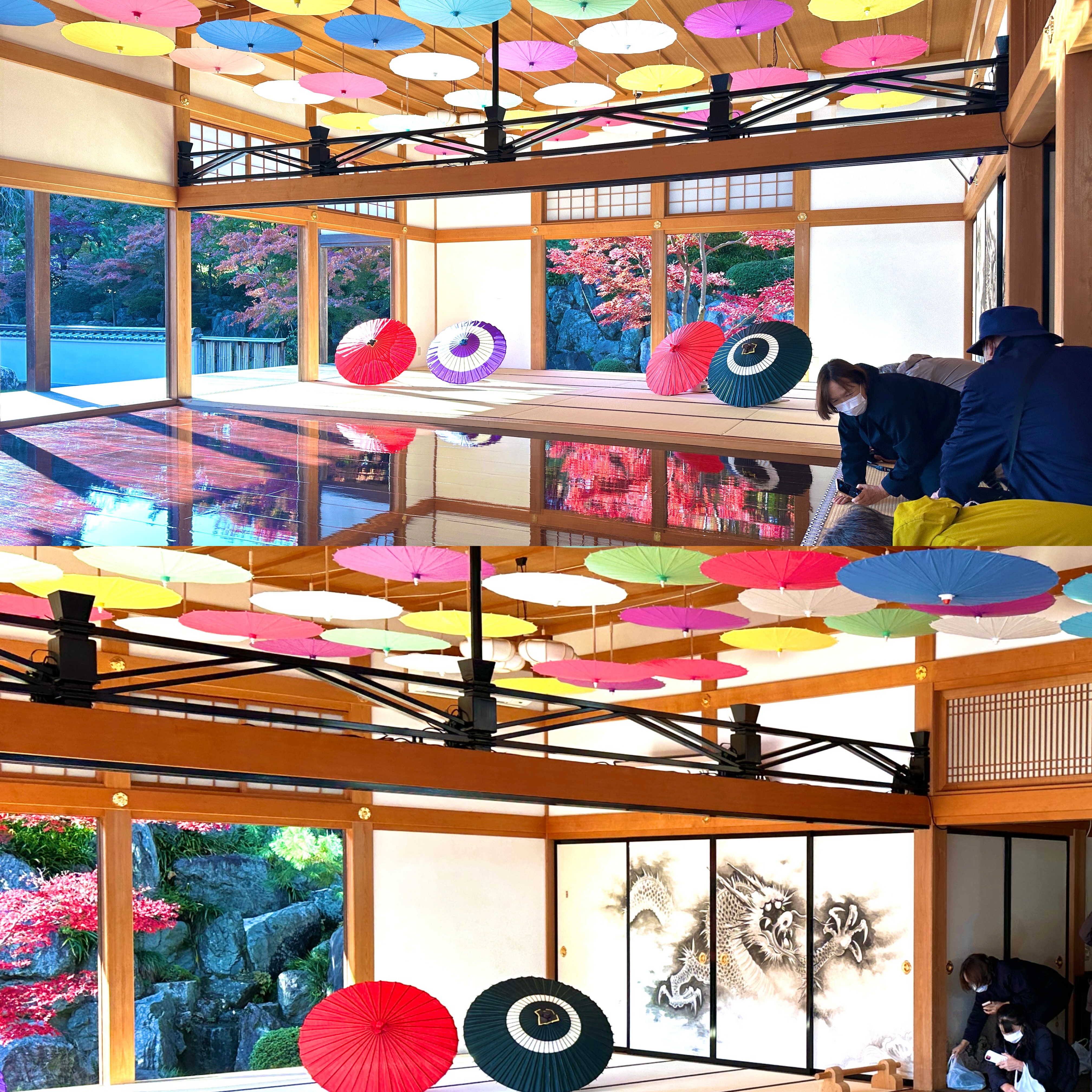 画像の説明 画像の説明