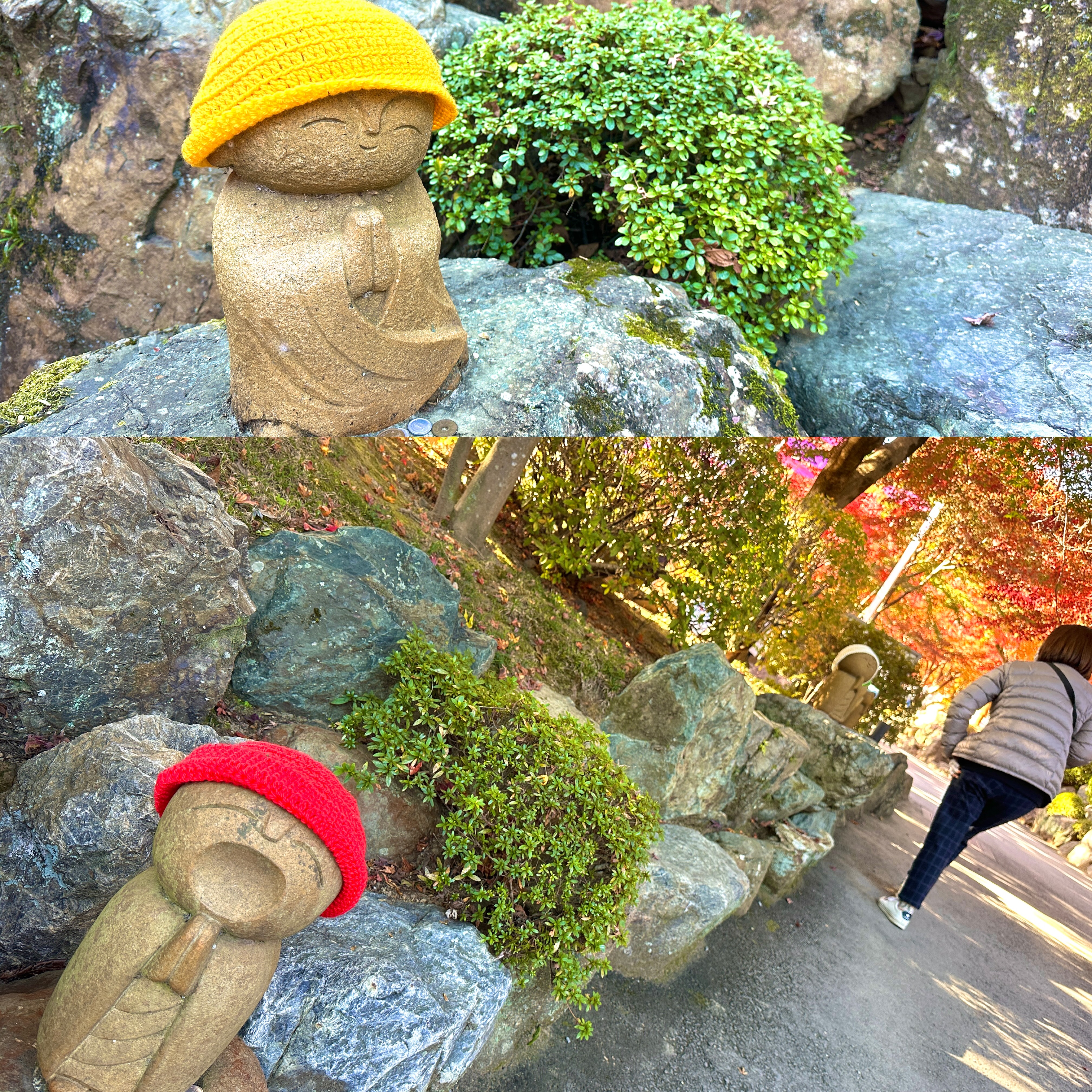 画像の説明 画像の説明