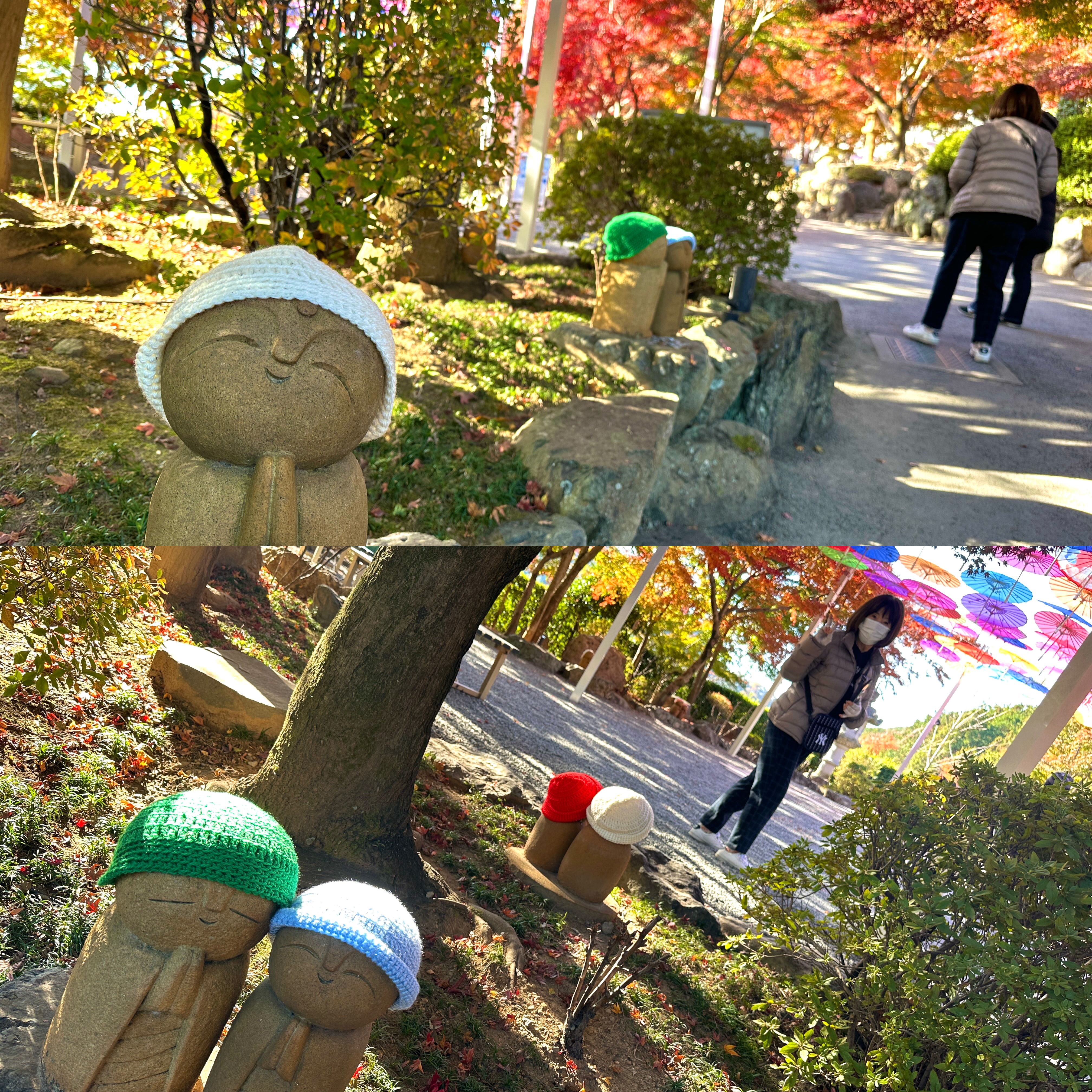 画像の説明 画像の説明