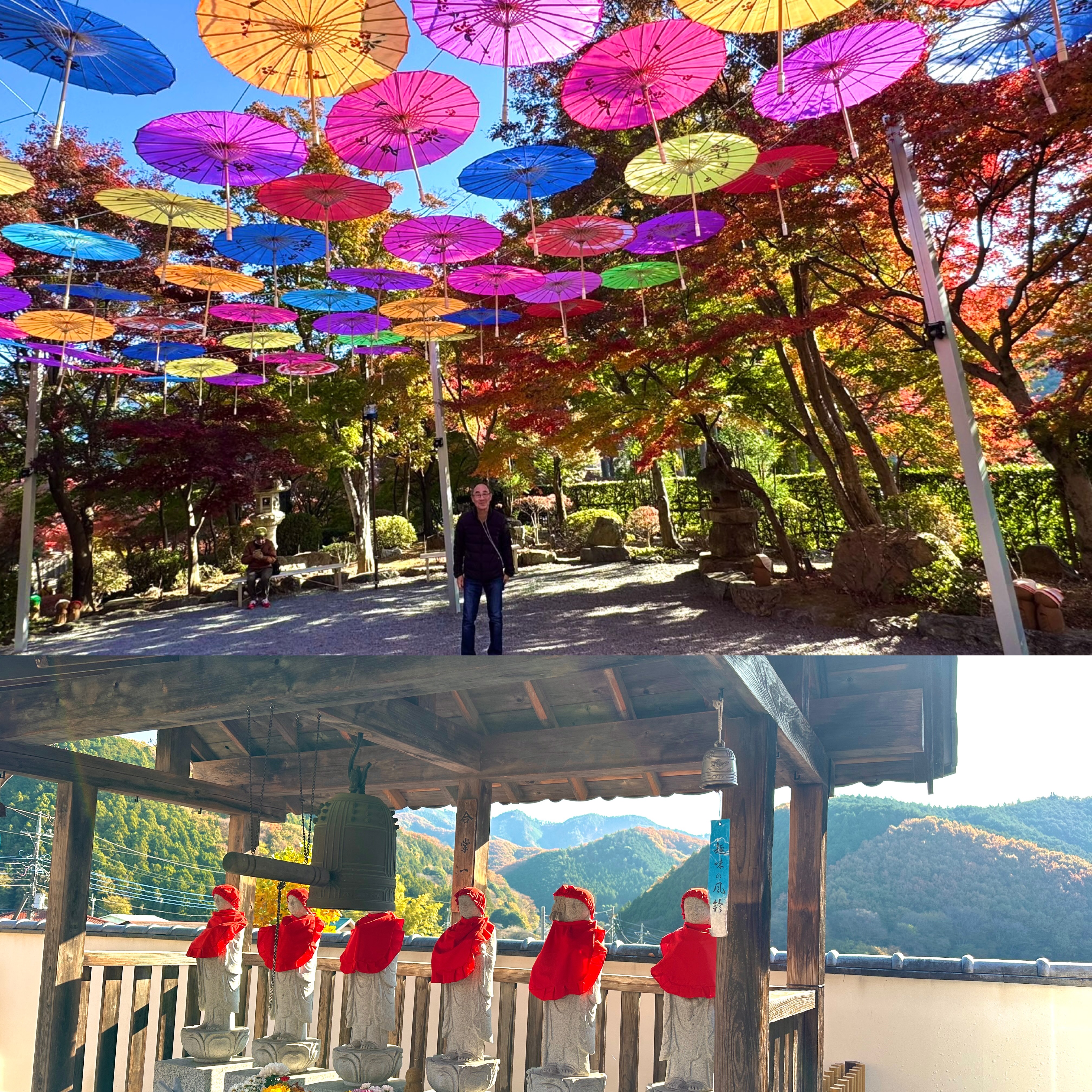 画像の説明 画像の説明