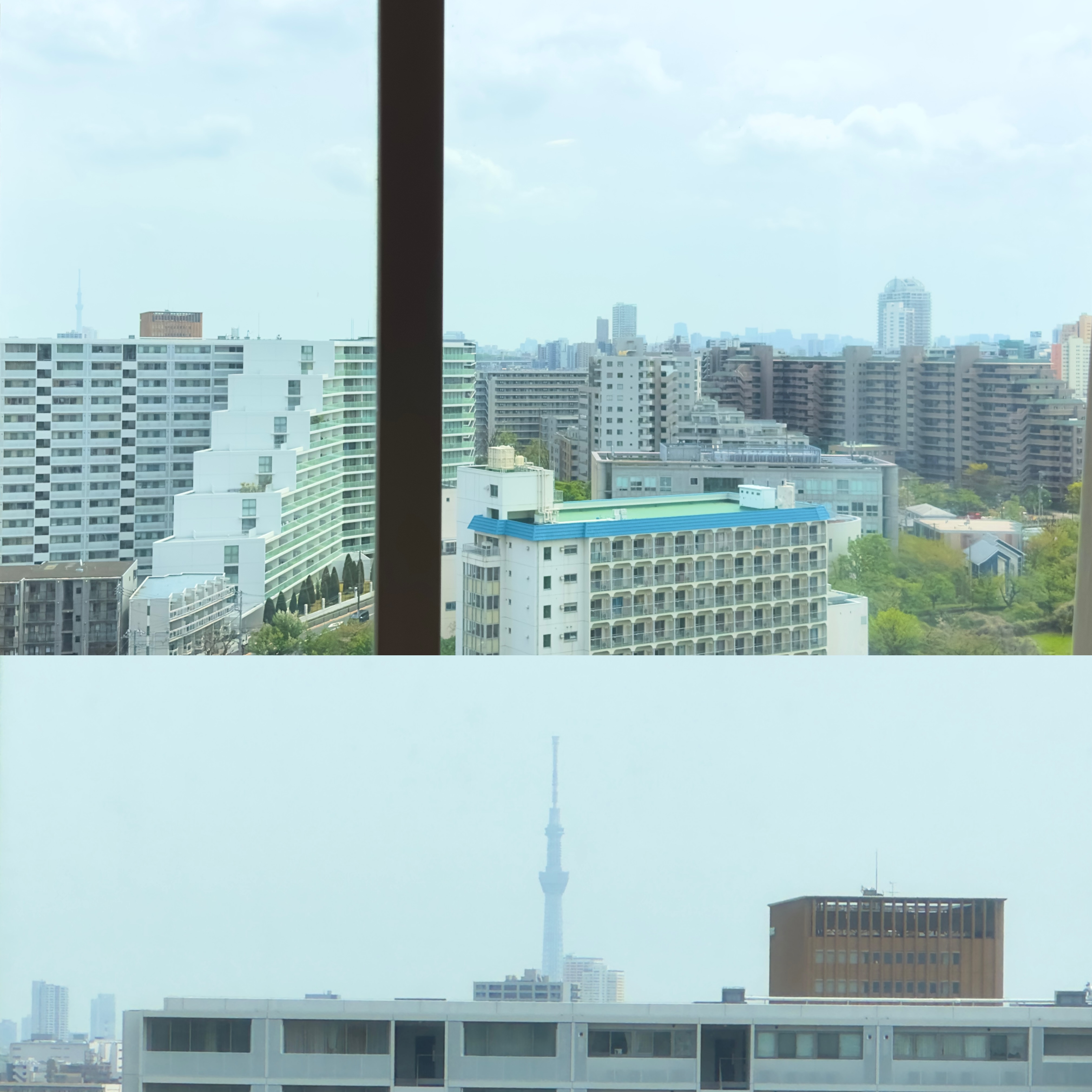 画像の説明