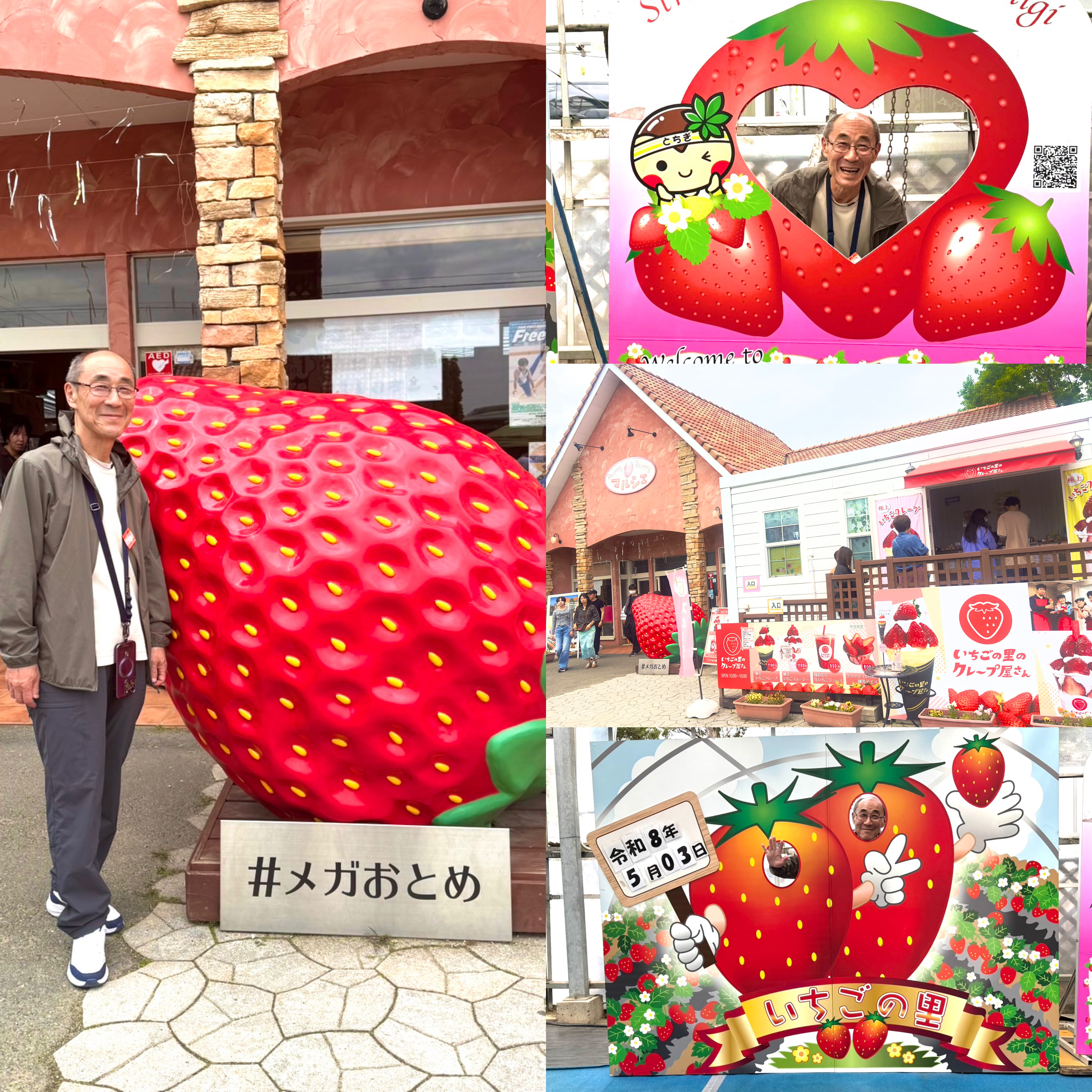 画像の説明 画像の説明