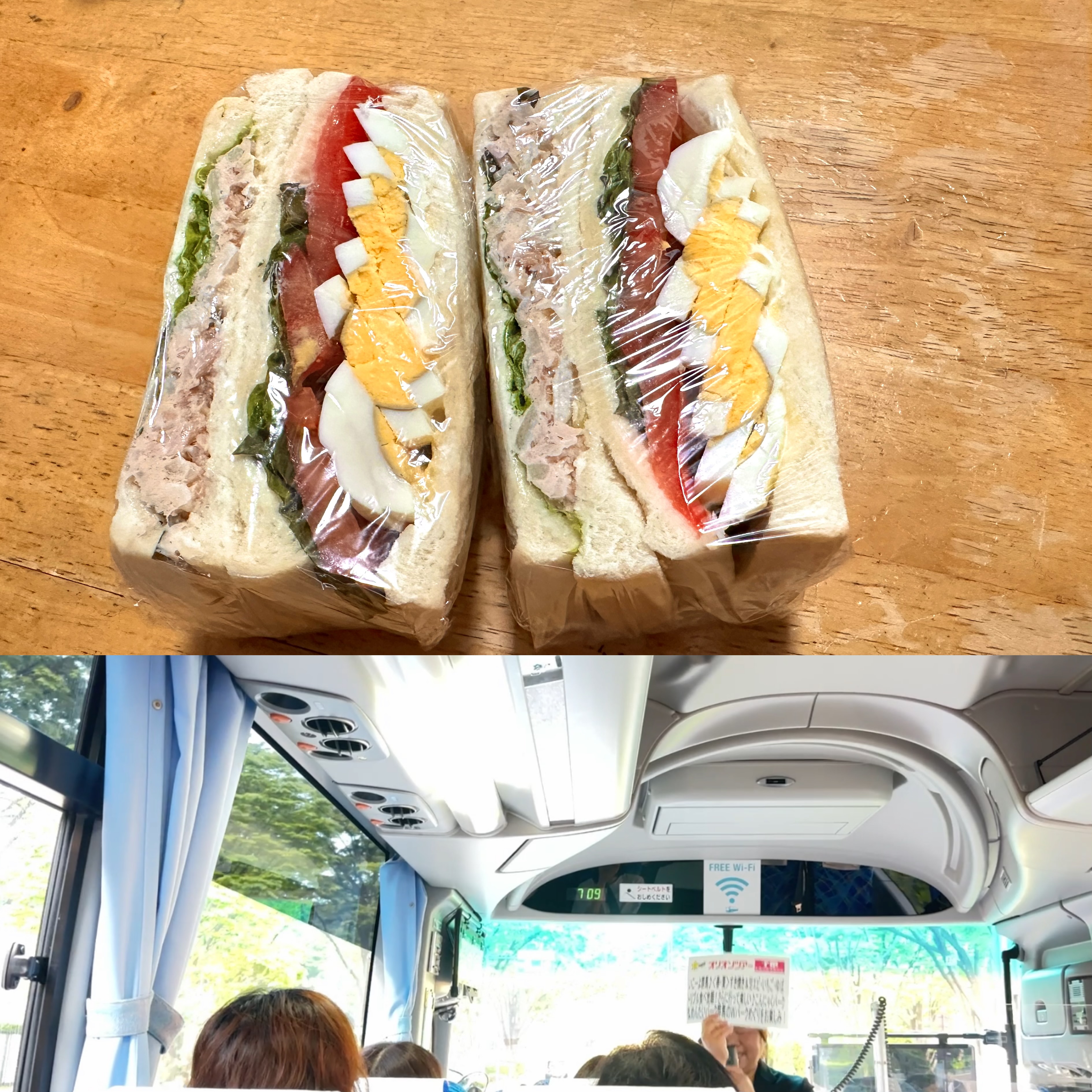 日帰りバスツアーに参加しま~す🚌