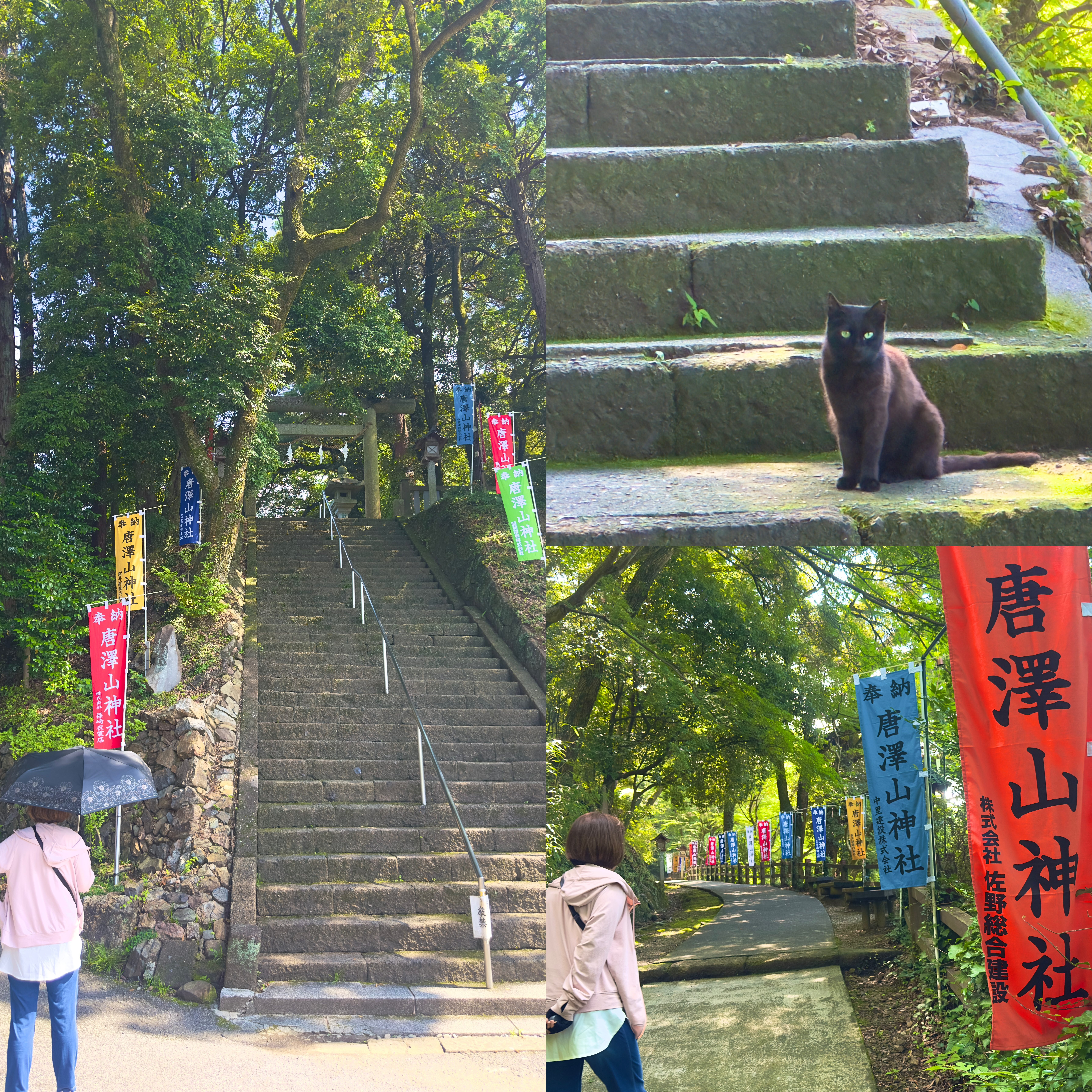 唐沢山神社