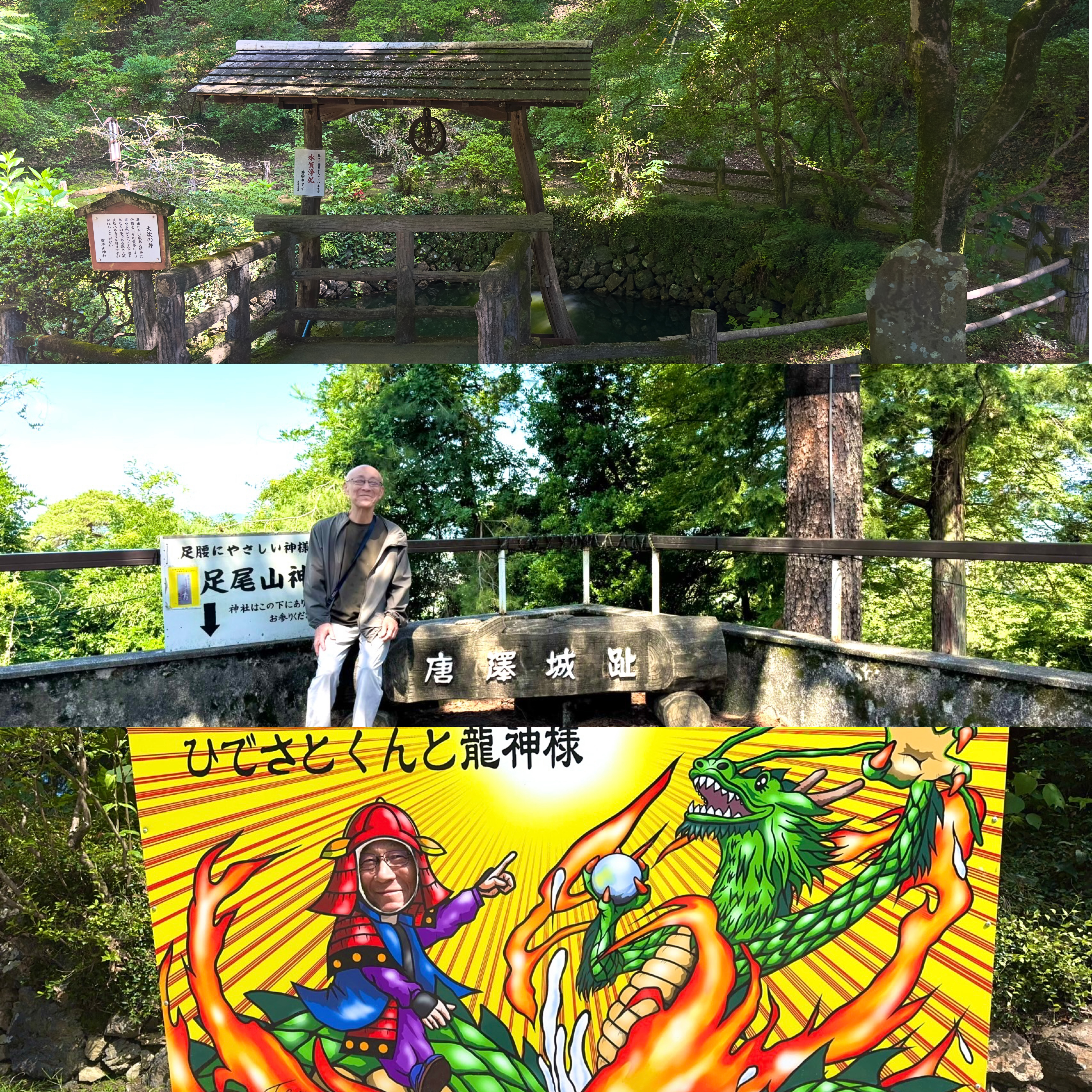 唐沢山神社