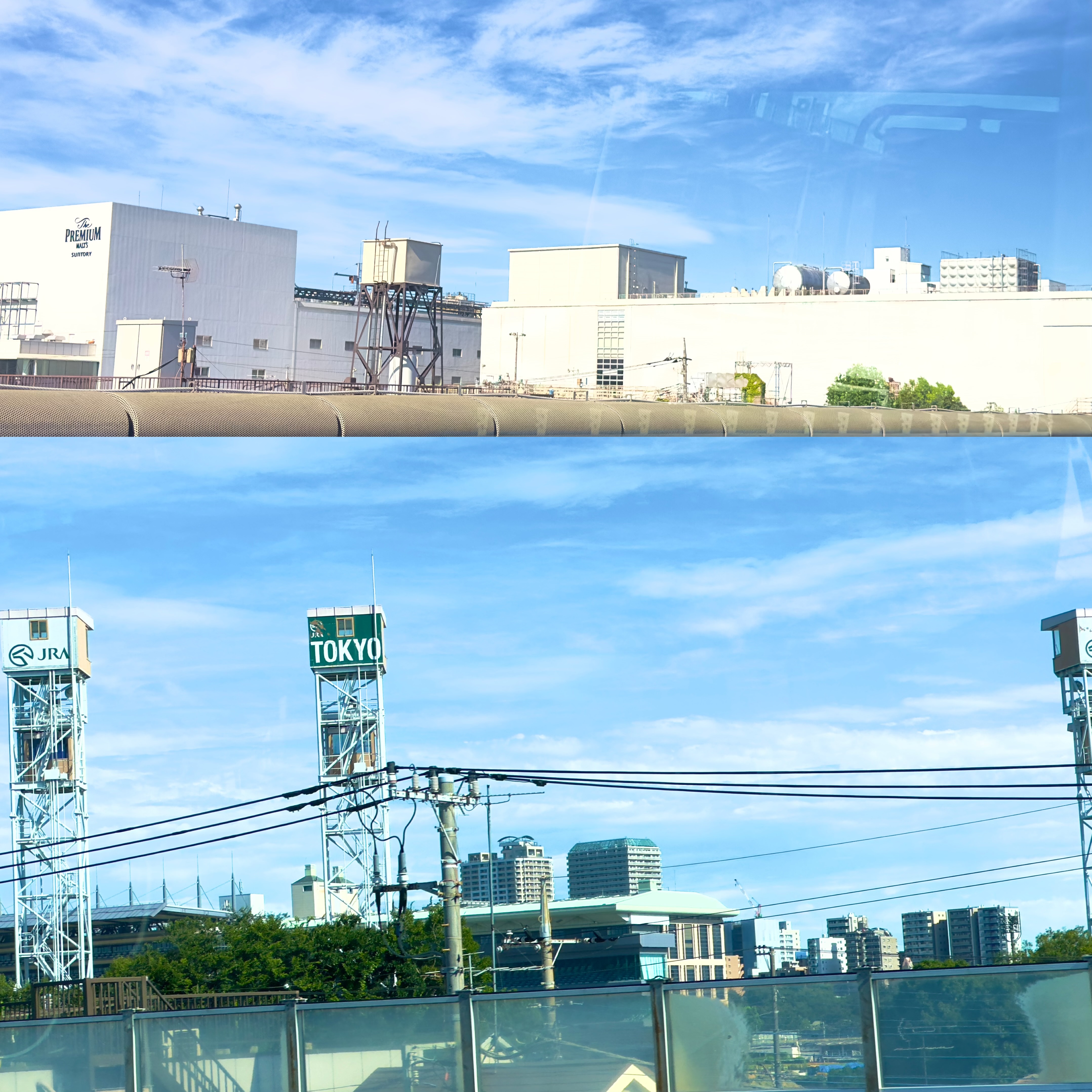 競馬場とサントリーを通過~~